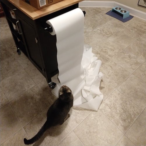 Severus destroying paper towels